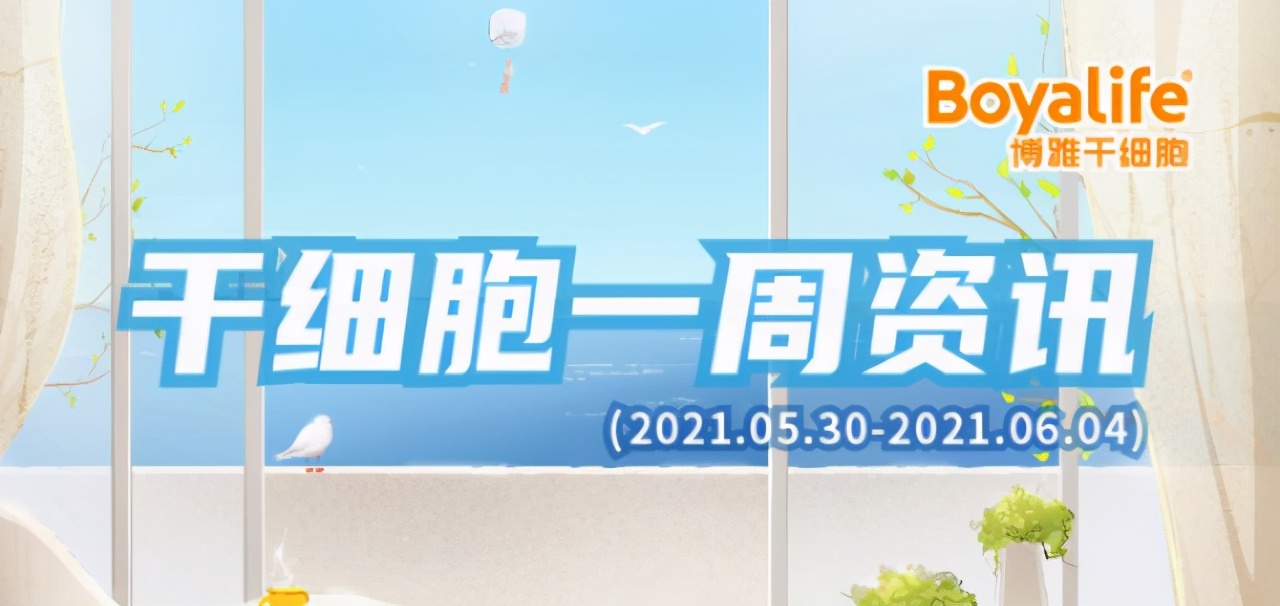 干细胞治疗皮肤新消息,干细胞最新医疗资讯