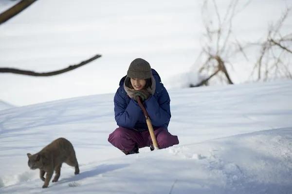 十部必看小森林电影,治愈系电影小森林片段之一