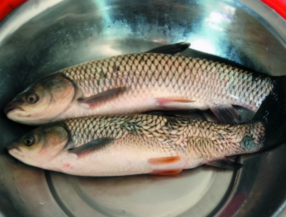 腌咸鱼要不要倒白酒,腌咸鱼要不要改刀