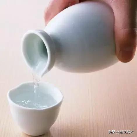 盆栽飞虫怎么杀,盆栽小黑飞虫怎么治