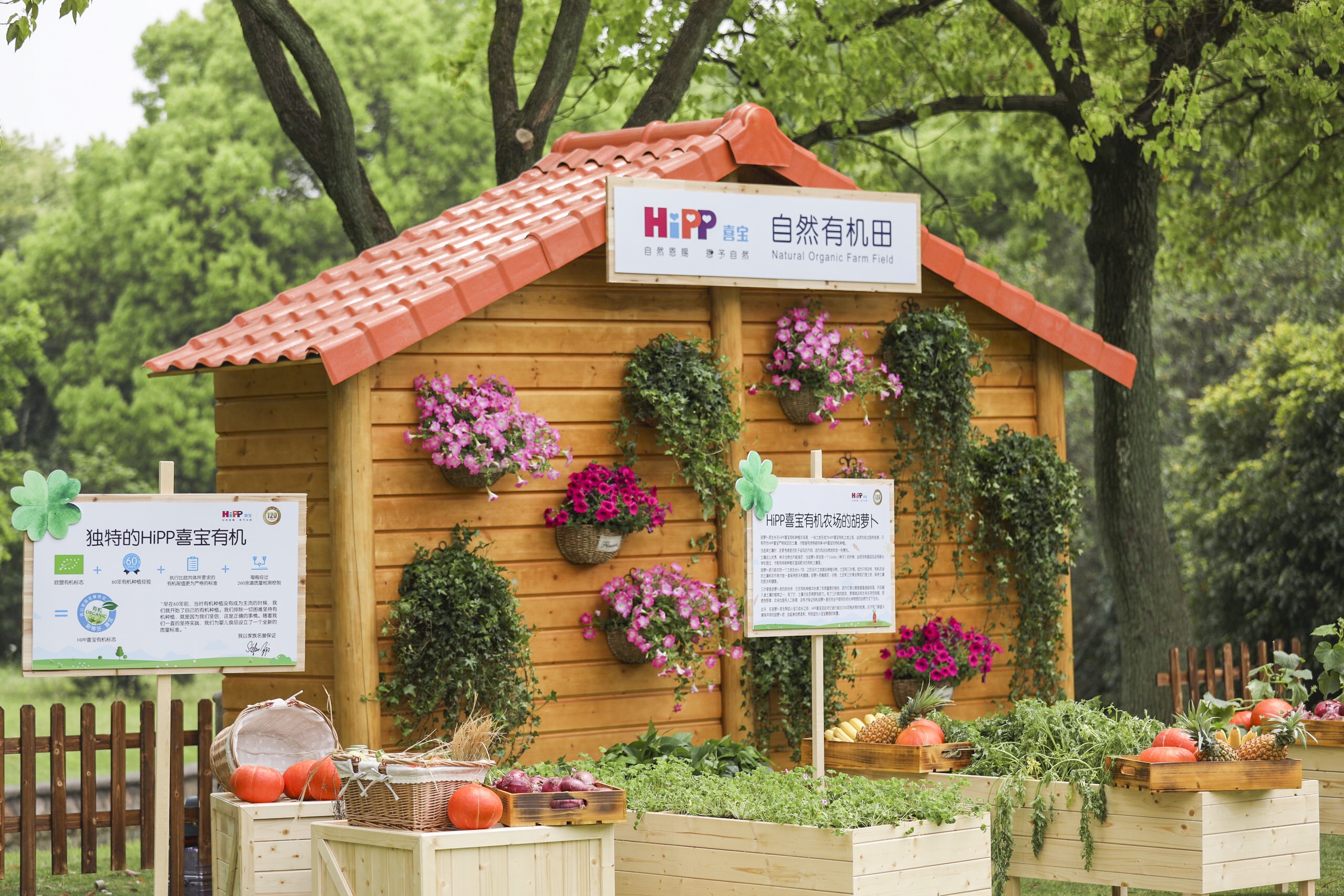 德国hipp喜宝婴儿米糊米粉怎么样,德国喜宝hipp益生菌