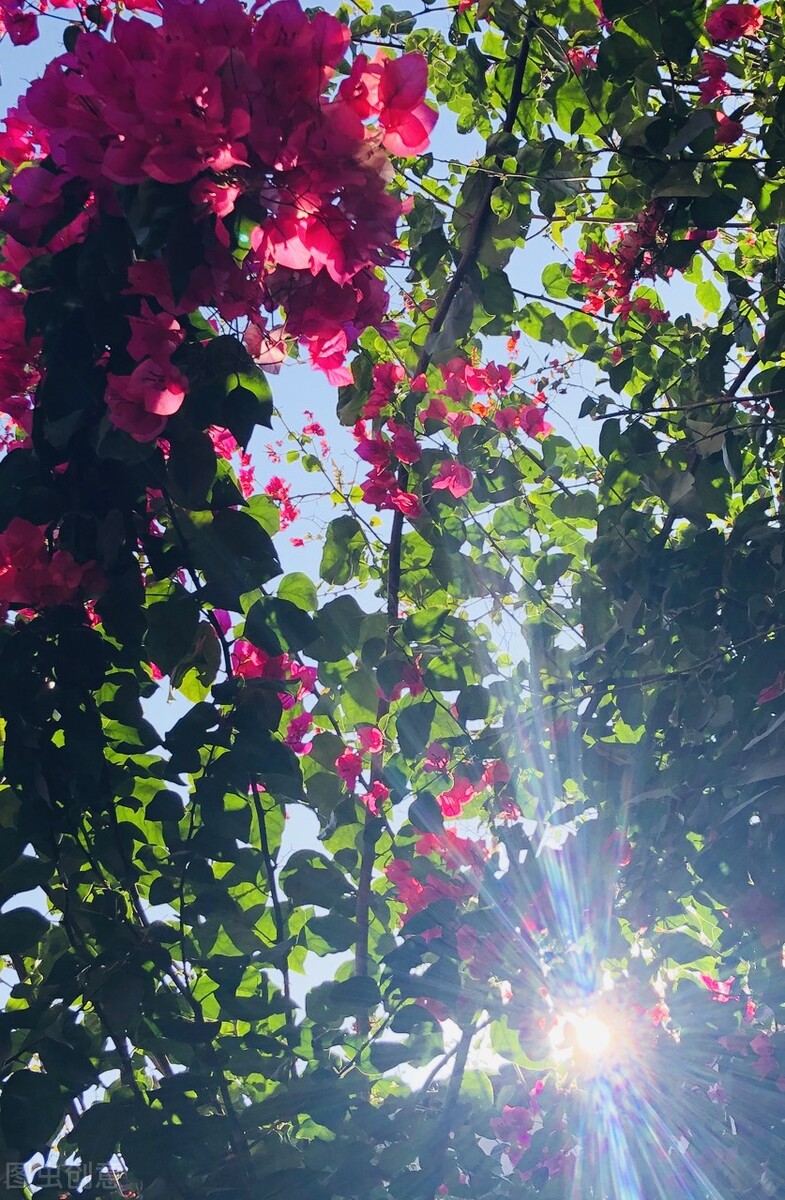 章贡区部分区域,章贡区街道分布图