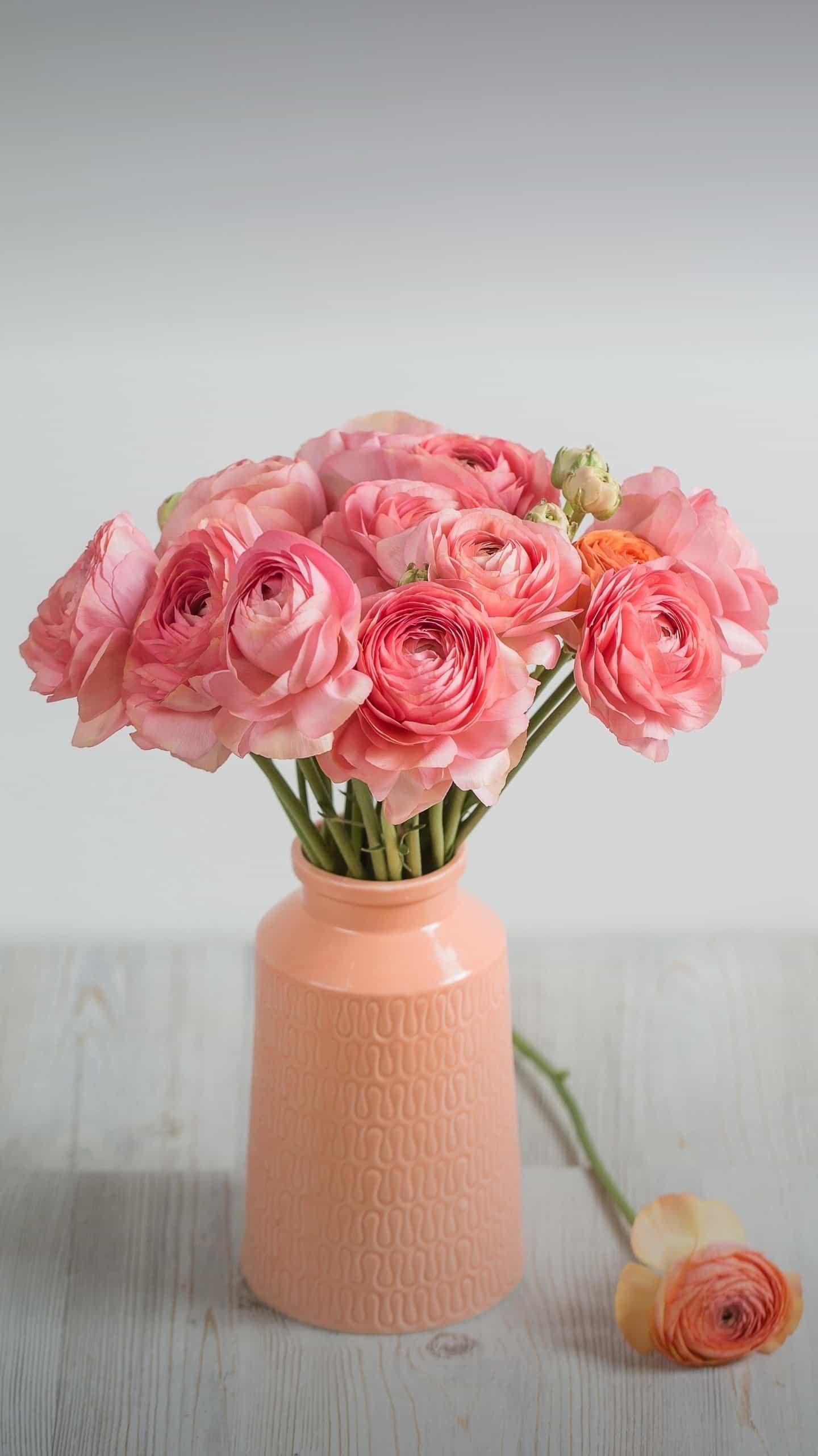 请家长注意：青春期女孩下腹痛不能忽视！