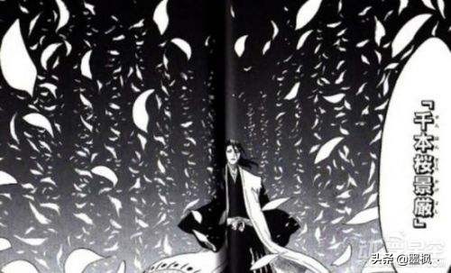 死神护庭十三番队详细介绍,死神护庭十三队长