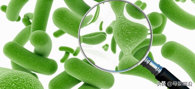 益生菌为什么突然降价,益生菌销售现状