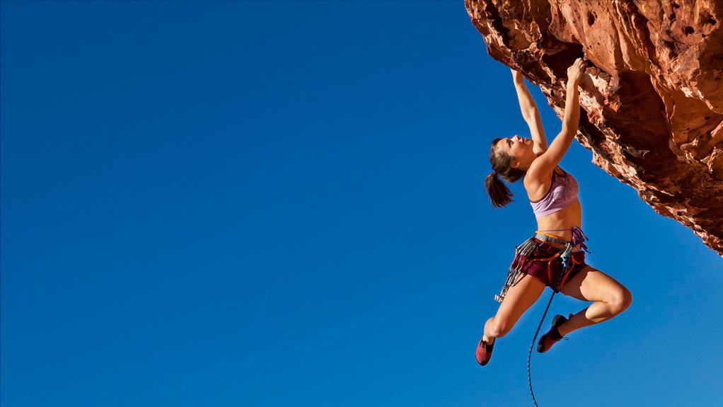 职业生涯规划书社会环境分析,大学生职业生涯规划职业认知