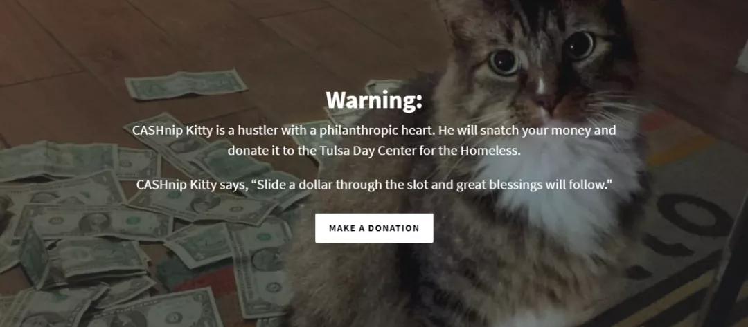 招财猫美国,招财猫可以招财