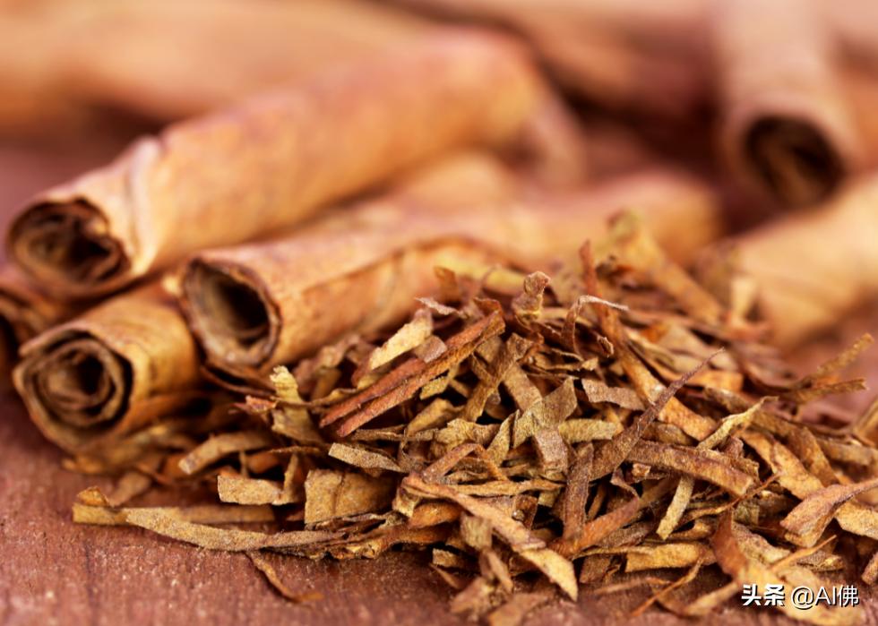 狗哪些食物不适合吃,不适合狗狗的食物