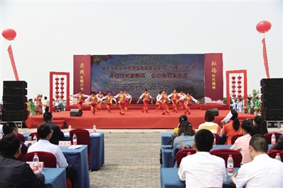 巢湖市新时代文明实践中心,新时代文明实践活动内容