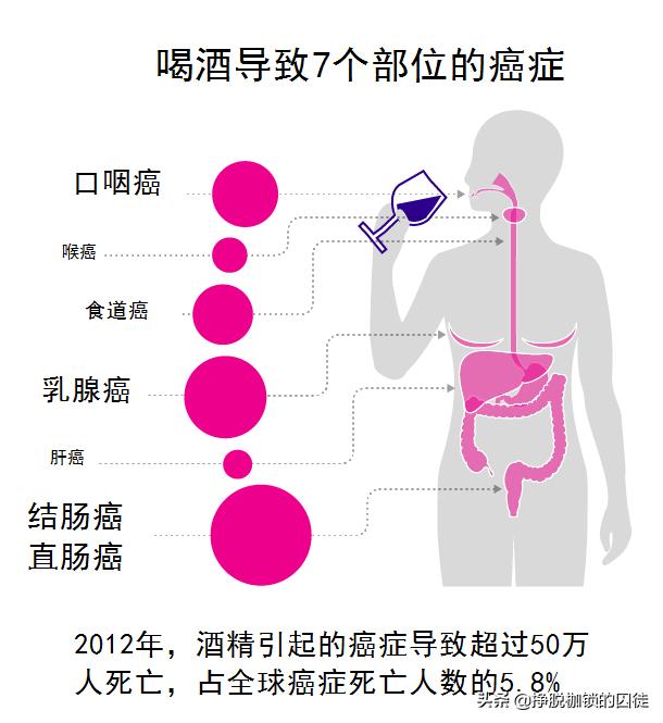 澳大利亚新指南：饮酒没有安全限量标准，男女每周都不应超10杯