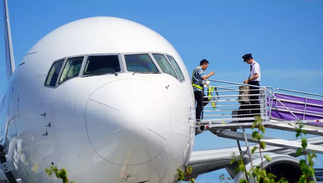 夏威夷大岛自驾游游记,大岛夏威夷岛七日游