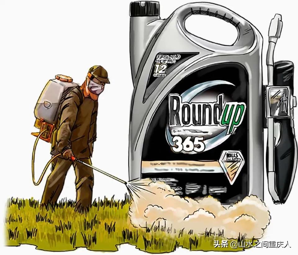 DDT、橙剂、转基因:生态环境摧毁者—孟山都