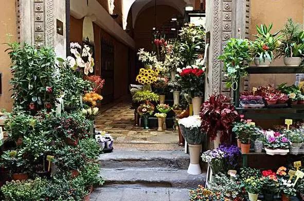 花店真的赚钱吗,为什么花店亏损那么多