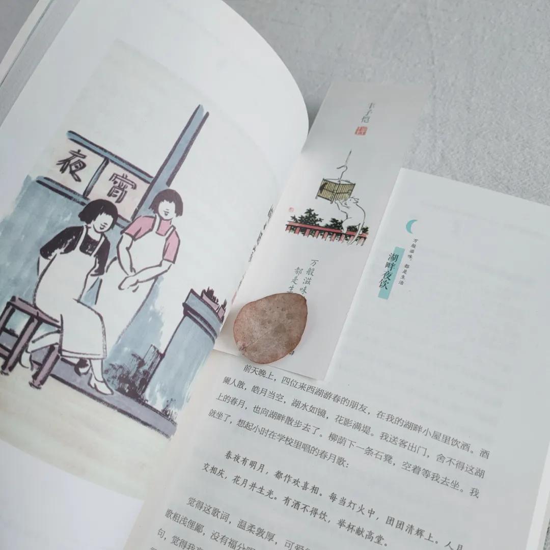 丰子恺经典温暖绘本,丰子恺最通透的话