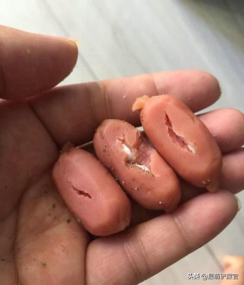 狗狗被下毒还能救回来吗,狗狗被下毒会有什么反应