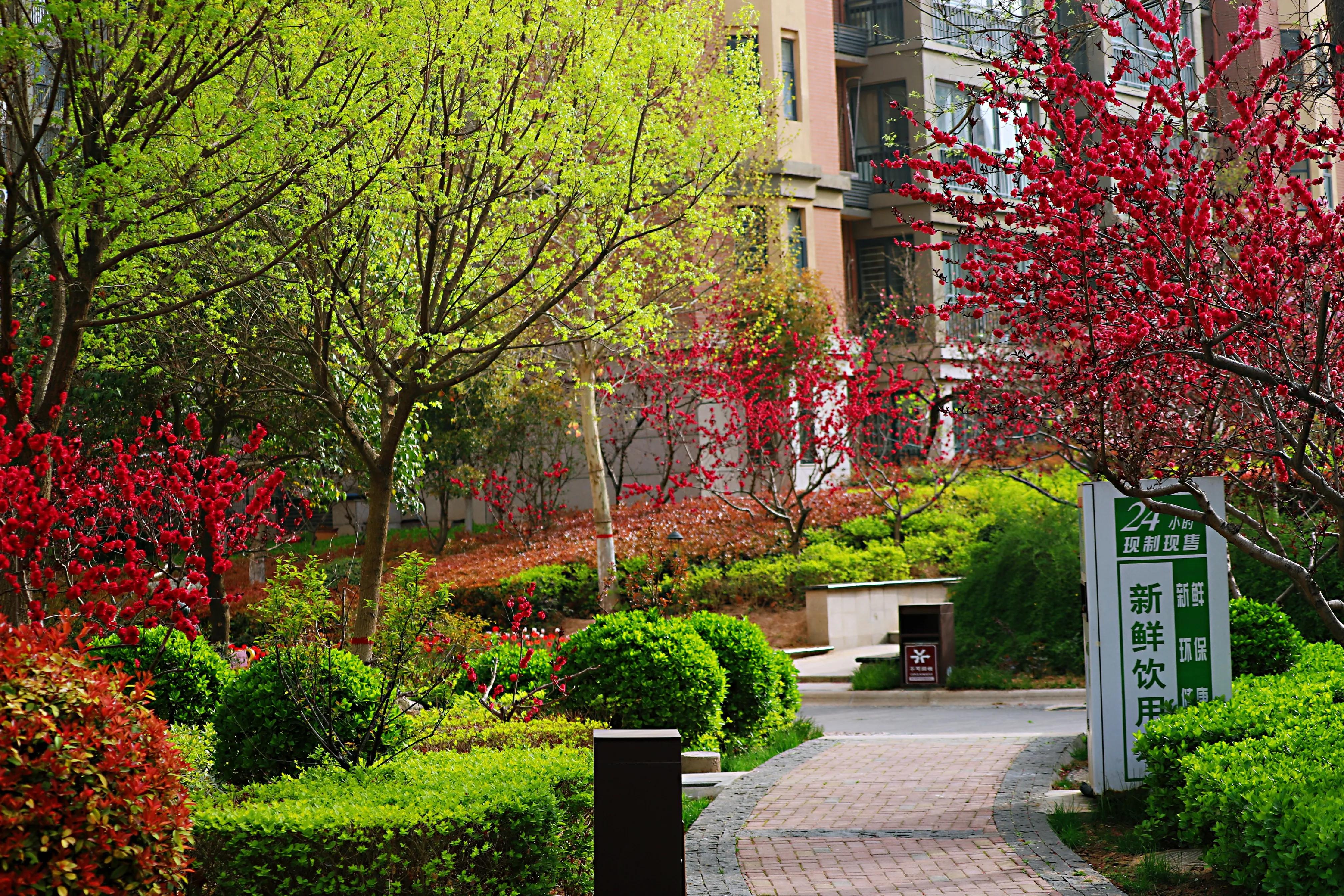 骏景花园116平米,骏景花园小区效果图