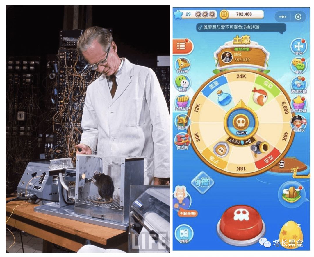 从阿里88会员到锦鲤抽奖，年度10大热门涨粉案例拿好不谢！