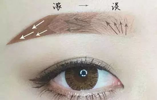 眉形种类和面相,眉形决定什么样的性格