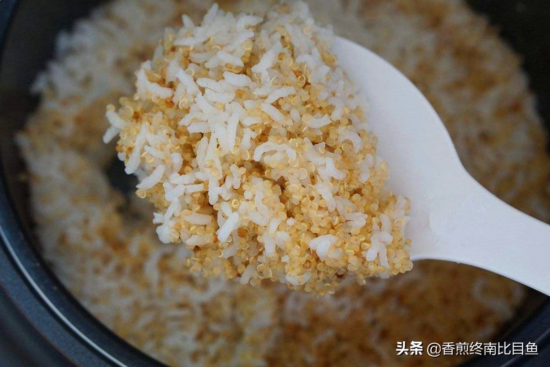 火遍全网的特产试吃,火遍全网的食物