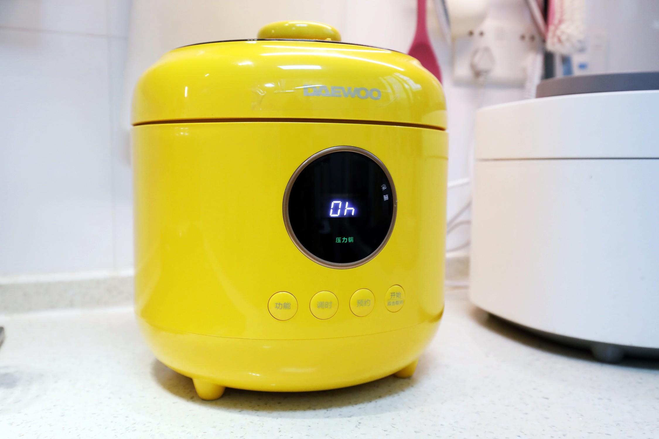 蒸煮两用电压力锅哪个牌子好,家用压力锅和微压锅哪个好