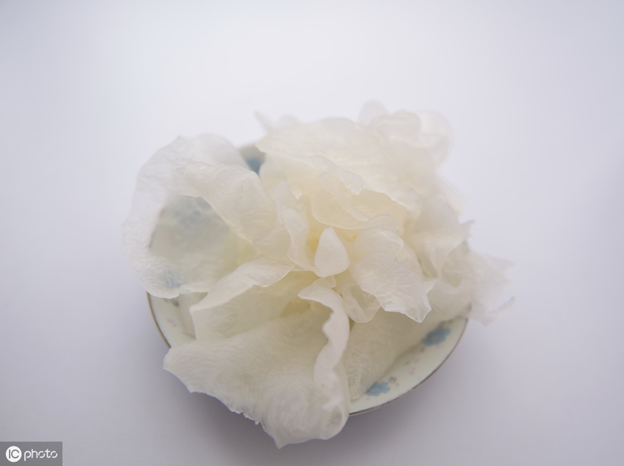 燕窝养胎吗,燕窝养胎还是花胶养胎