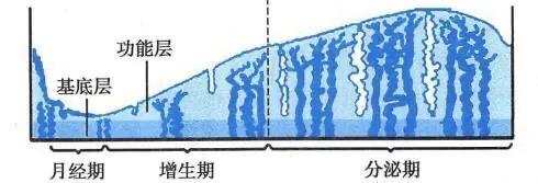 姨妈晚走一般因为什么,每个月大姨妈都来9天怎么回事