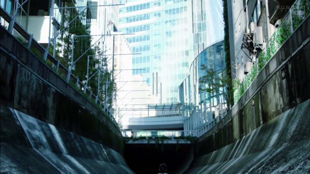 日剧推荐东京女性,日剧推荐东京女人