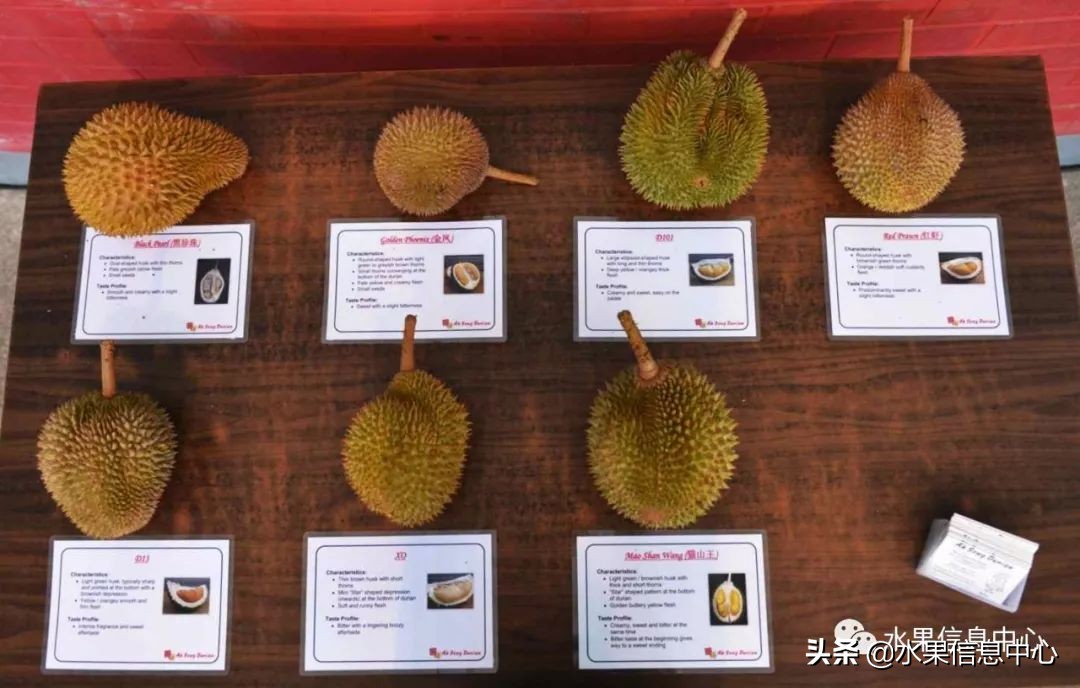 泰国最好的榴莲是什么榴莲,泰国榴莲与越南榴莲