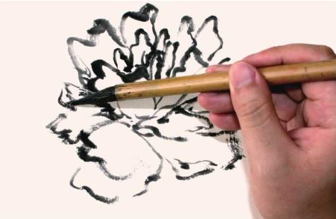 国画牡丹和石头的画法图片,初学国画牡丹花头画法图解