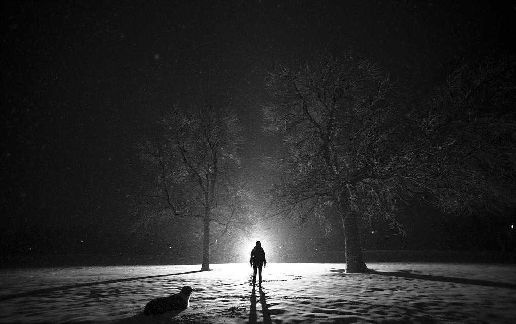 迷你澳牧为啥不建议新手养,没有养过的人不懂养狗的快乐