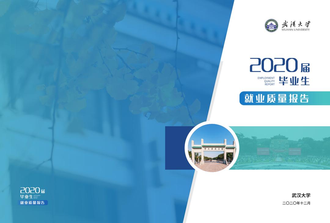 武汉大学2020就业报告,武汉大学2024毕业生就业情况