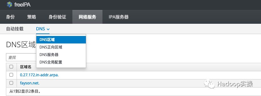 0563-06-如何在FreeIPA上管理域名解析