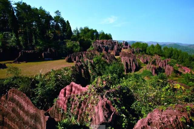 长沙身份证430102,长沙42开头的身份证