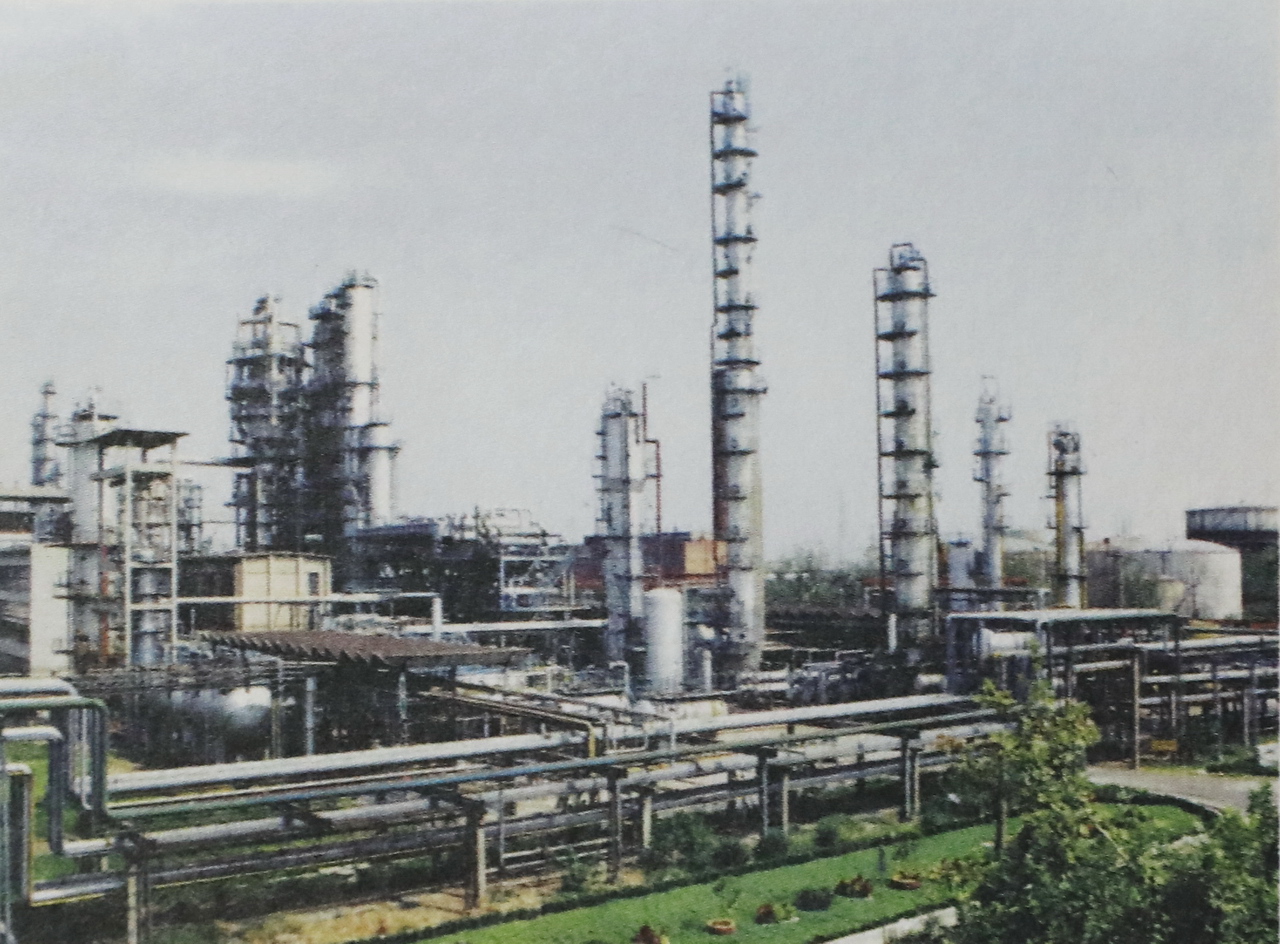 大武汉系列,武汉石油化工企业