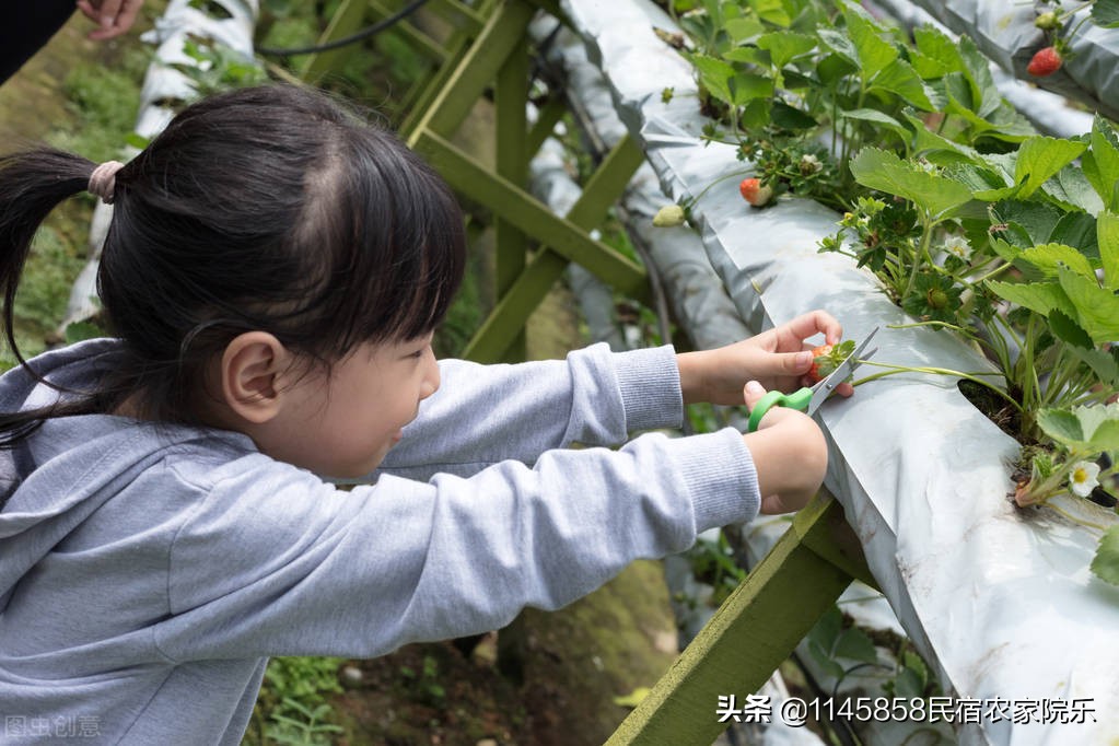 蓟县聚家农家院,蓟县盘山聚鑫山庄农家院