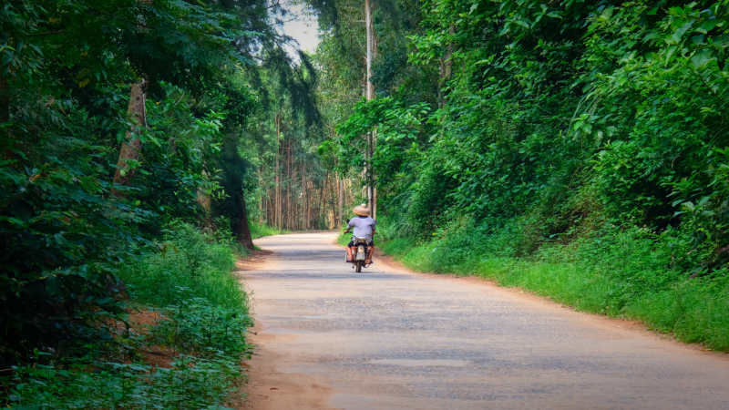 广东湛江旅游攻略赶海,湛江海边旅游攻略推荐地方