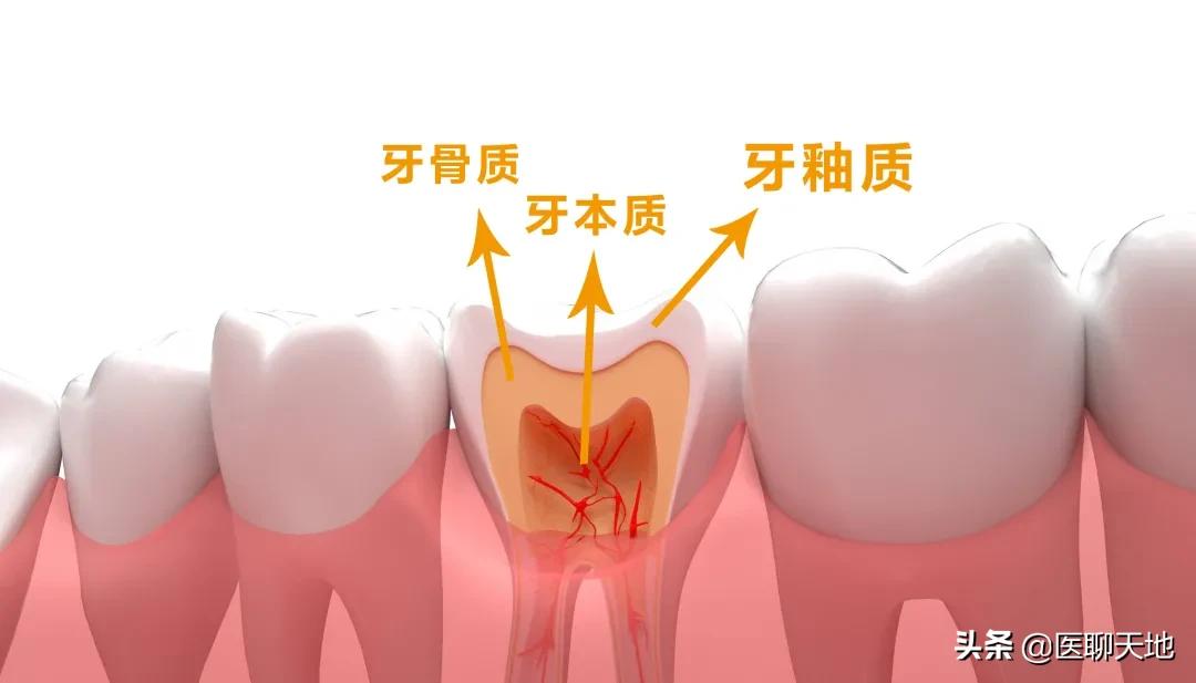 牙齿敏感疼痛怎么止疼,治疗牙齿敏感酸痛的方法