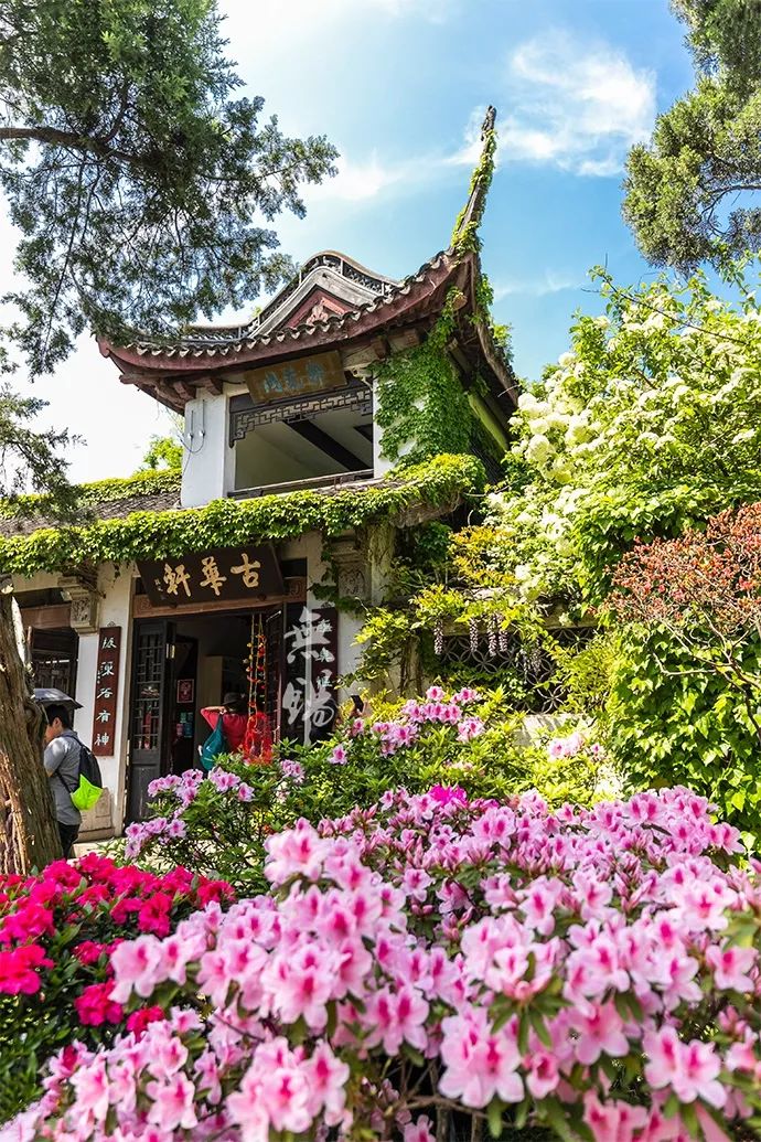 惠山古镇天下第二泉竹筒茶,惠山古镇天下第二泉