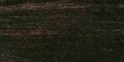 史上最全“红木”图解，看看哪种红木价值最高？