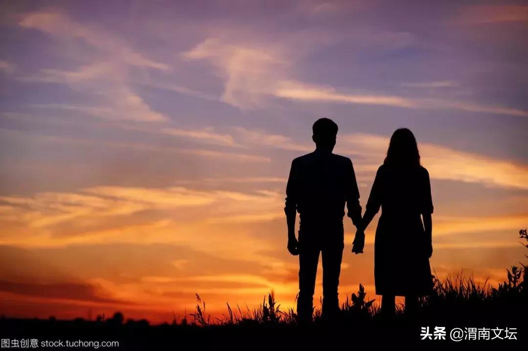 闫芙蓉陕西,渭南文坛