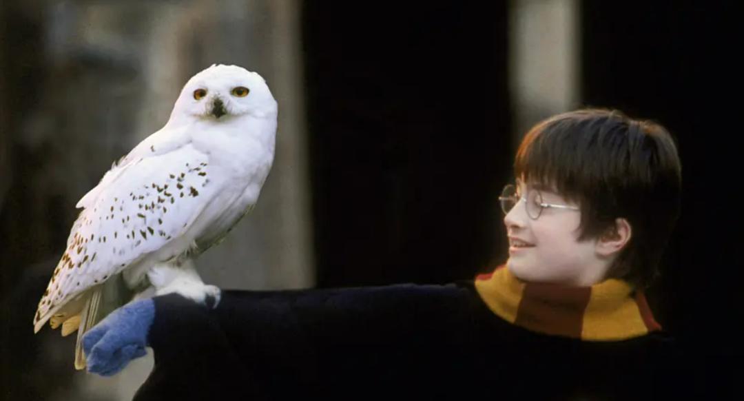 小丑女真实颜值,小丑女真实样貌