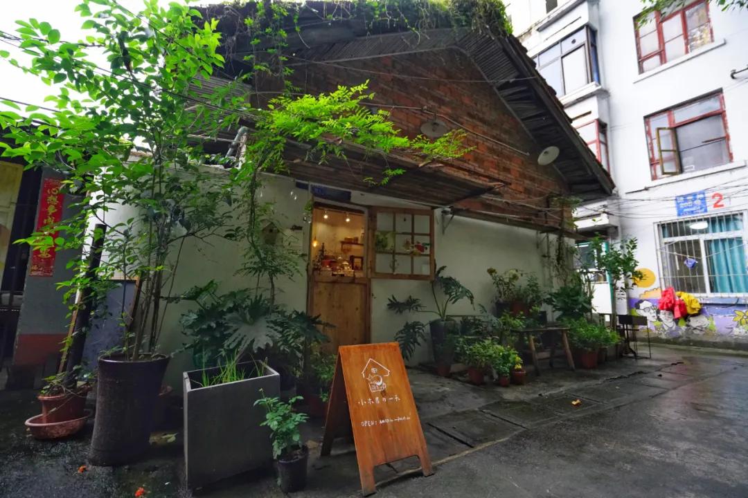 成都两个小姑娘开的老房子花艺杂货铺，外地游客不远千里专程打卡