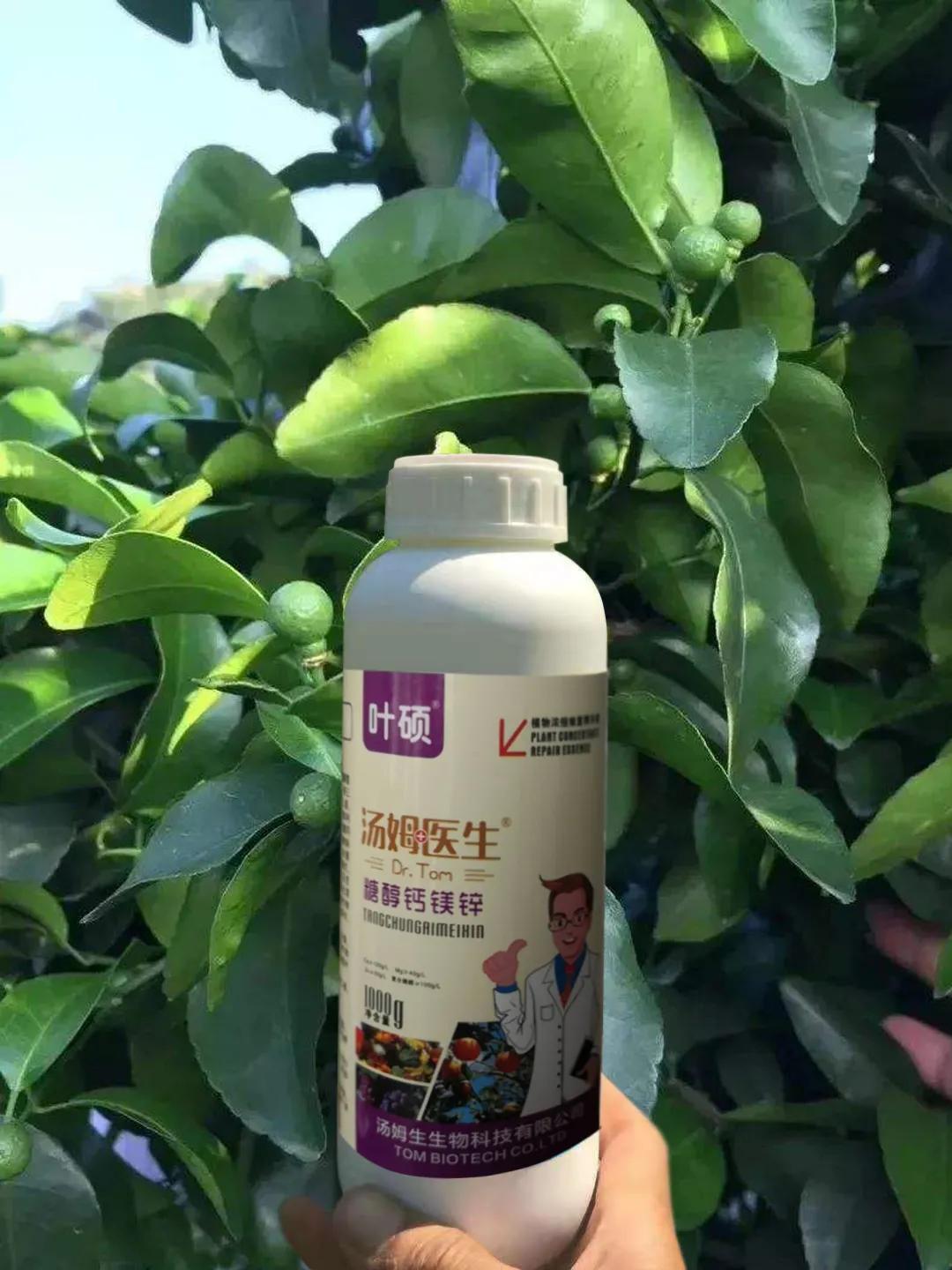 见花补硼,见花补硼见果补什么