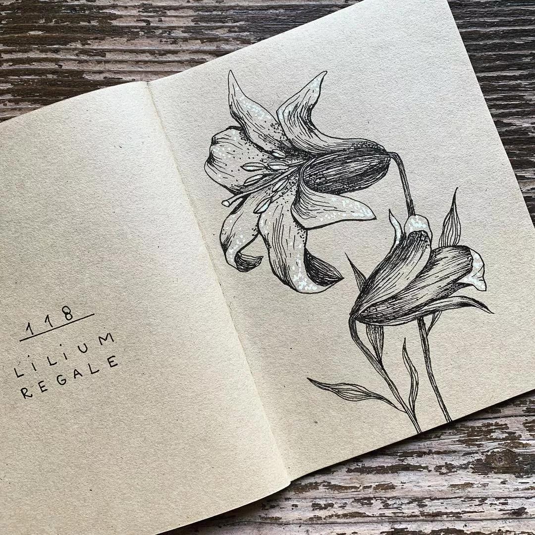 一看就懂的针管简笔画,针管笔入门手绘1000例临摹图