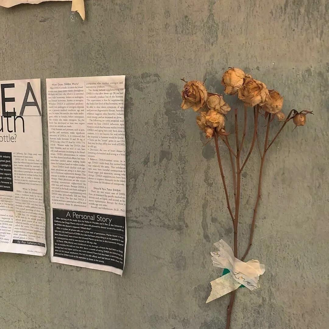 宇航员动态壁纸高清全屏120帧竖屏,太空壁纸高清4k宇航员火箭卡通