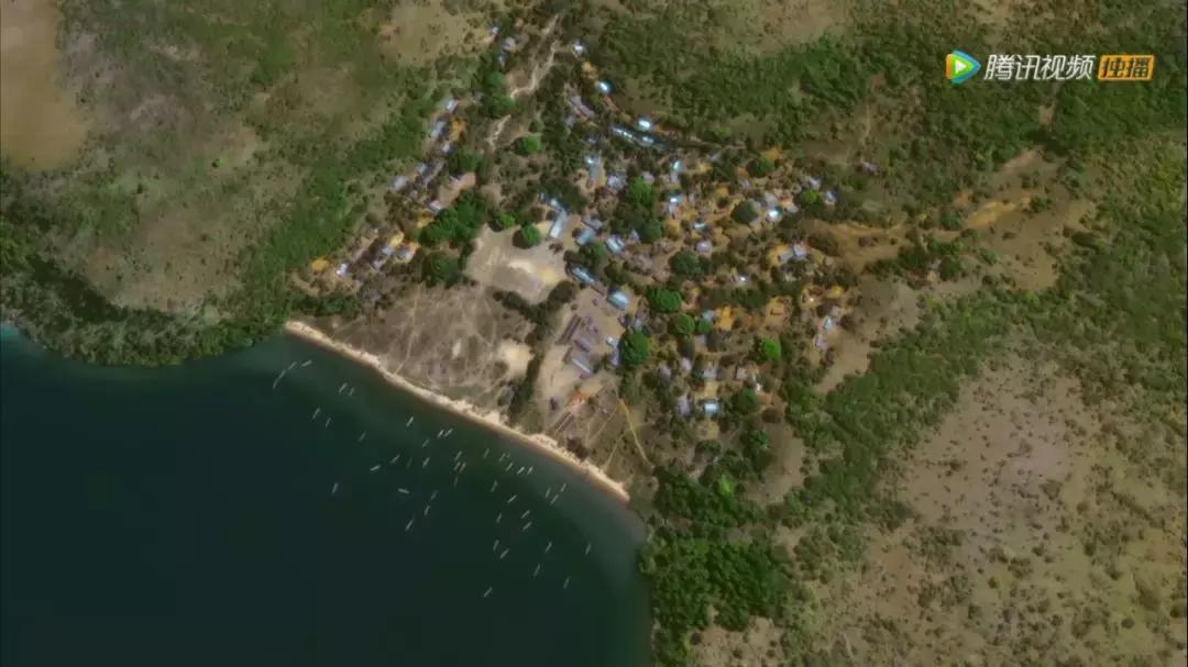 这部BBC纪录片一开播就拿下9.5高分，除了美更培养了孩子的世界观