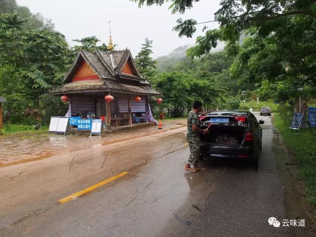 18万冰岛普洱茶,冰岛18年茶价格