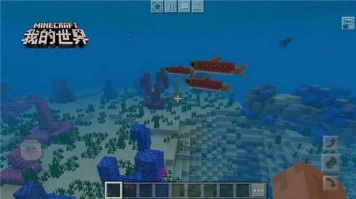 黑屏闪屏是屏幕的问题吗,黑屏闪一闪