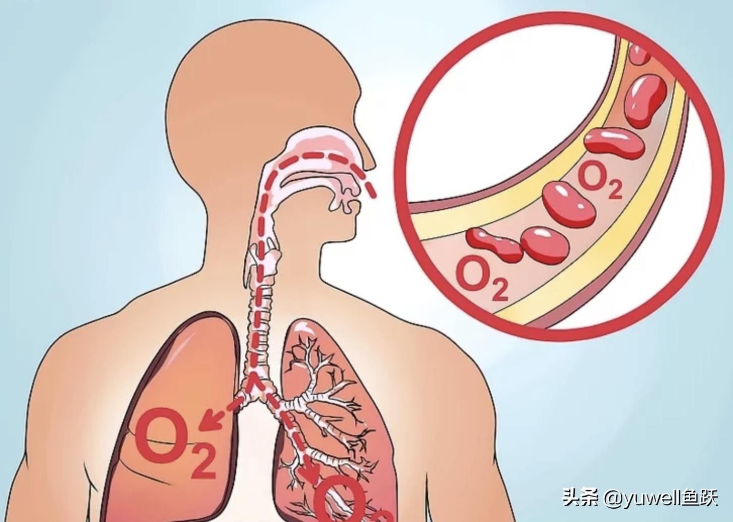 孕晚期总是胸闷？别忽略宝宝发出的求救信号