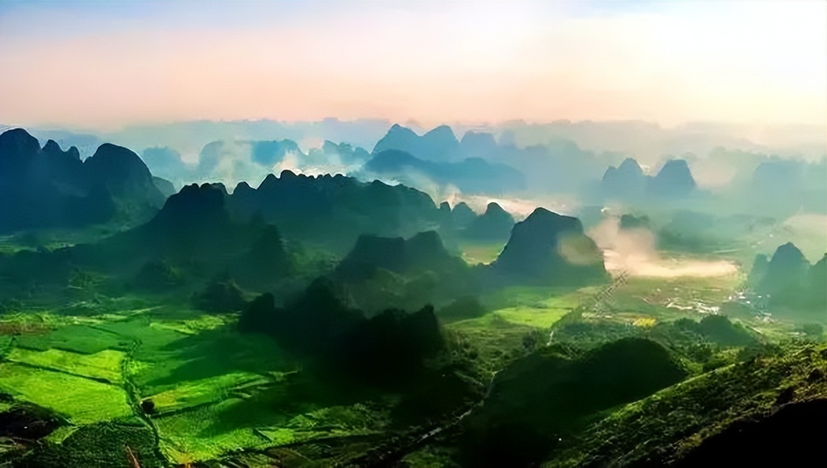 广东英德英红9号红茶,英德红茶最好是哪一款